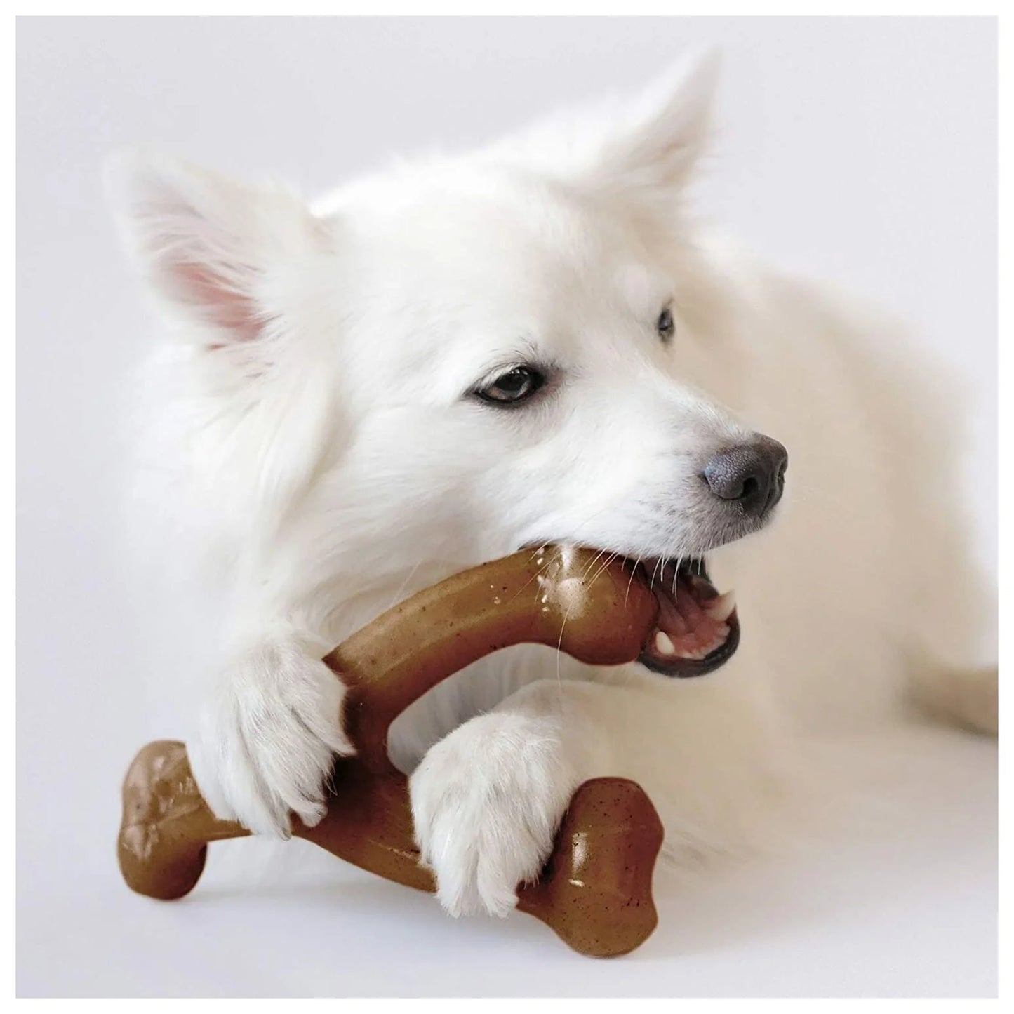 Noblias Tough Dog Toy Top View - Non-Toxic Rubber Chew Toy for Strong Chewers