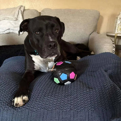 Durable Noblias dog toy ball for stress relief and play, featuring a transparent chewable design for dogs.