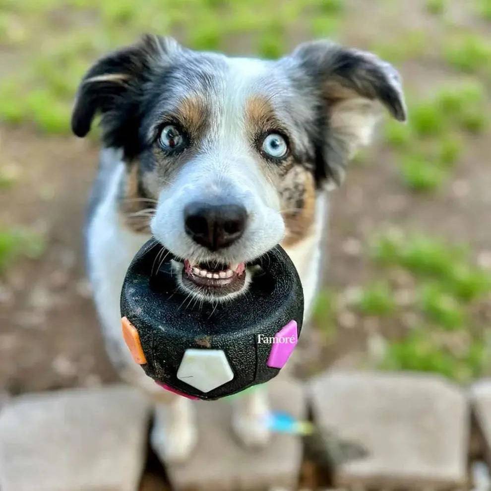 Durable Noblias dog toy ball for stress relief and play, made of tough material perfect for chewing and fetch activities.