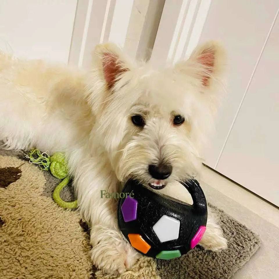 Durable Noblias dog toy ball for stress relief, chew and play, made of transparent, tough material for active dogs.