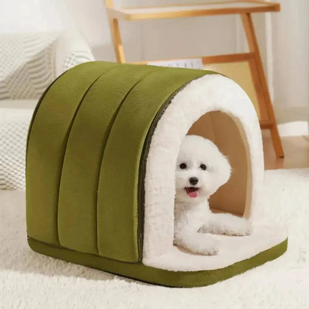 Bichon sitting inside the green enclosed cave bed with its head through the arched opening.