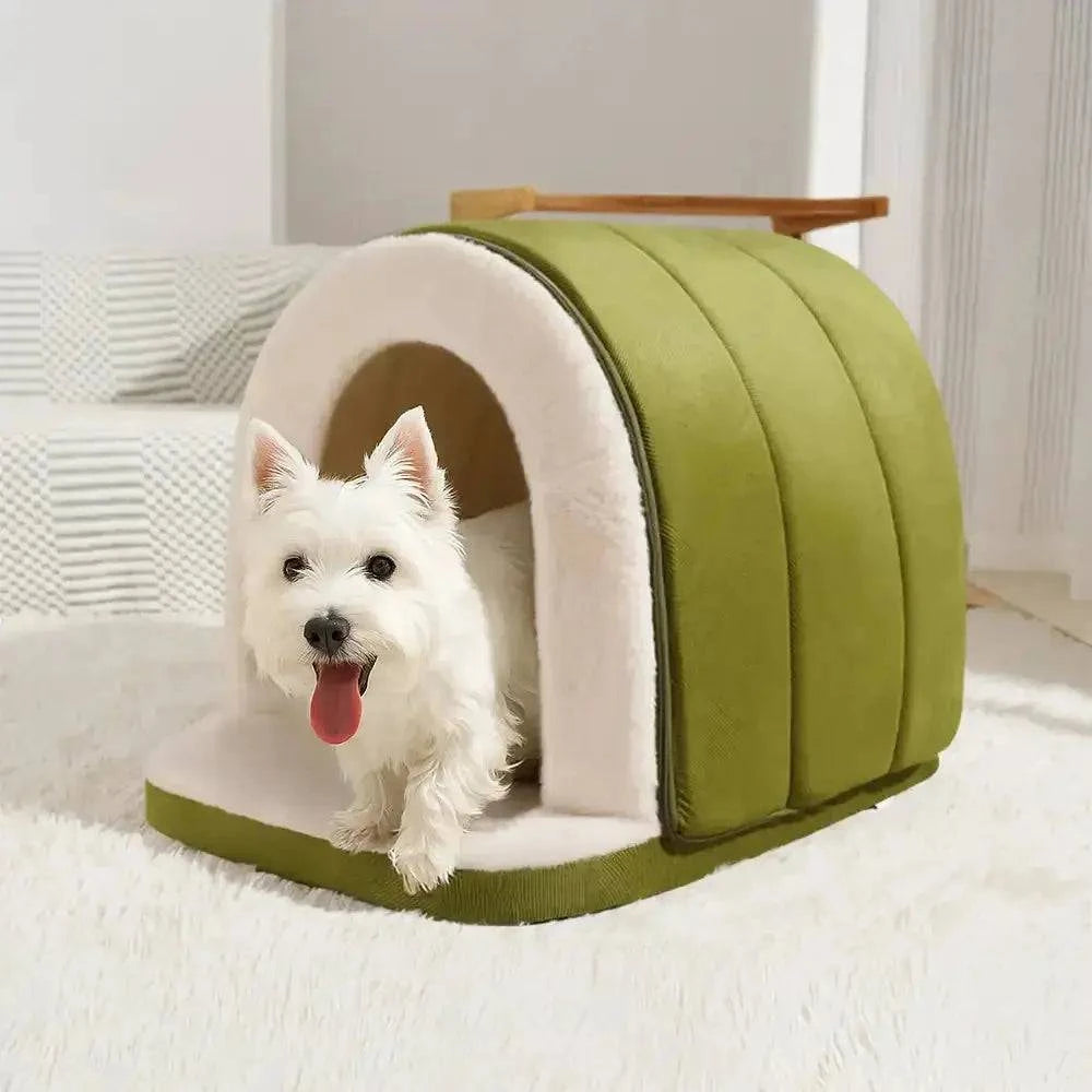 West highland terrier stepping out of the green enclosed cave bed.