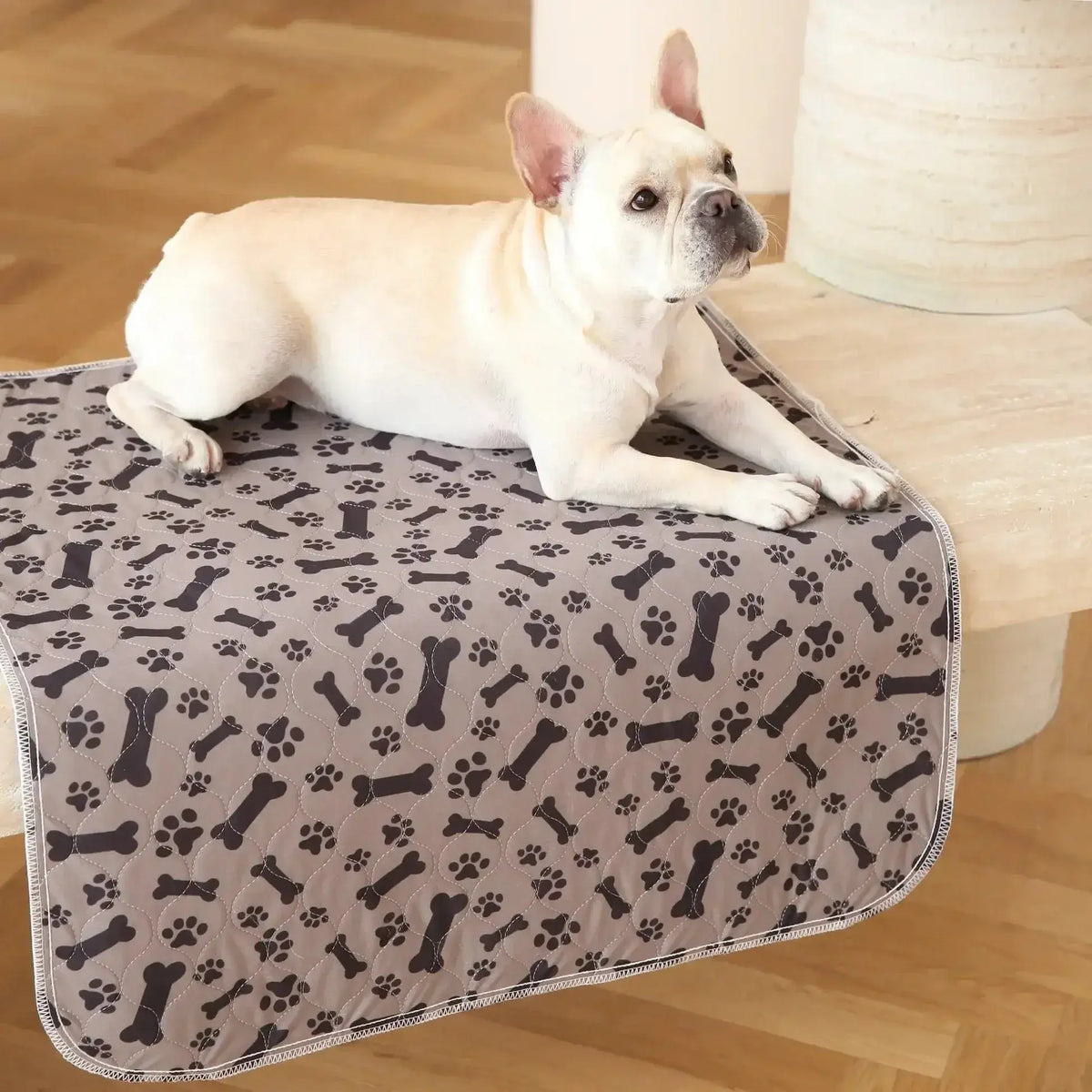 French bulldog lying on the gray bone and paw print washable pee pad on a stool.