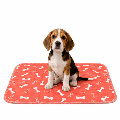 Beagle puppy sitting on the red bone print washable pee pad.