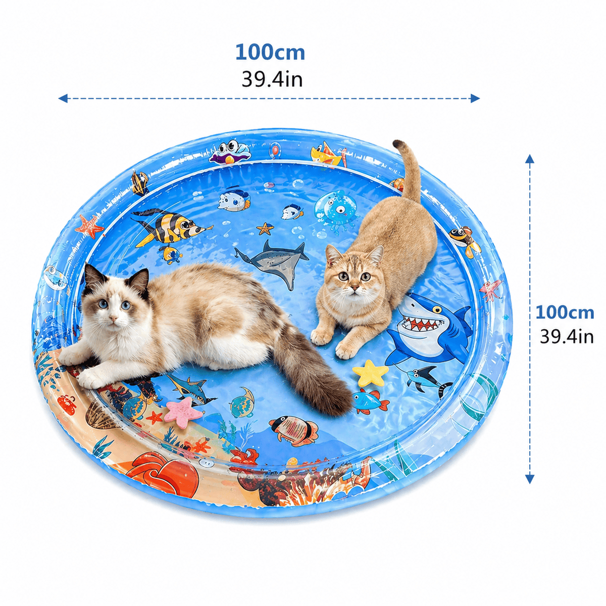 The round water sensory play mat with two cats on it and its diameter marked one hundred centimeters.