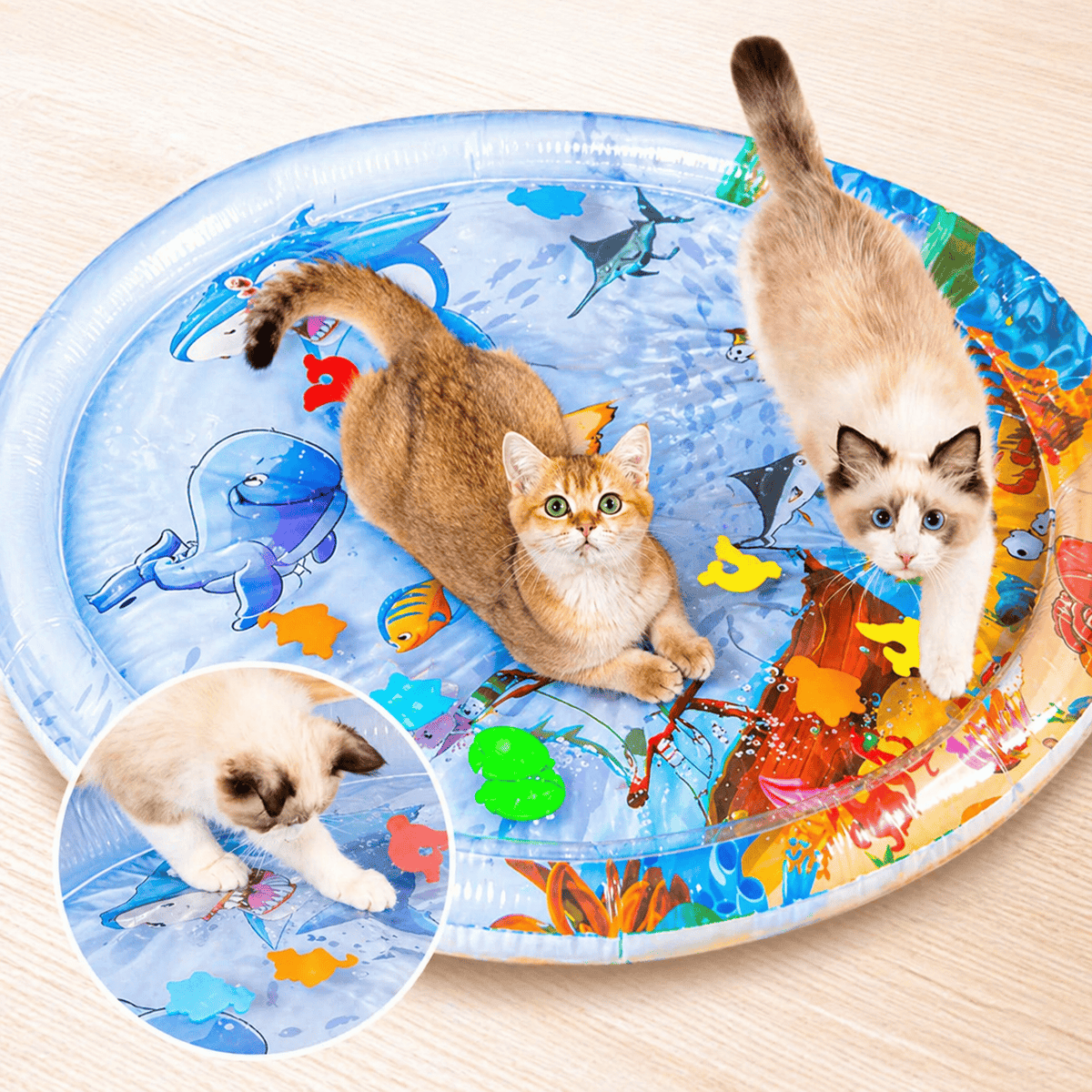 Two cats standing on the round water sensory play mat with an inset of one pawing at the floating fish.
