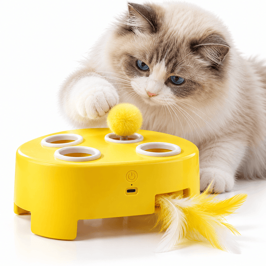 Ragdoll kitten pawing the pom pom mouse popping out of the yellow electric whack a mole cat toy.