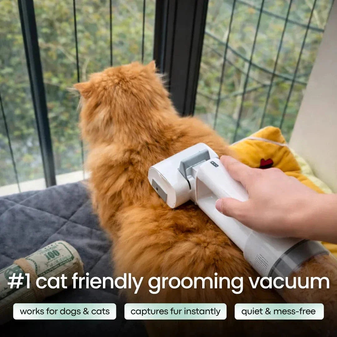 Noblias Pet Grooming Vacuum Brush in white, a 2-in-1 fur remover for dogs and cats with a sleek ergonomic design.