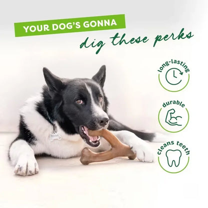 Border collie chewing the wishbone dog chew toy with long-lasting, durable and cleans teeth icons.