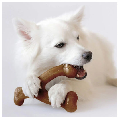 White spitz chewing the brown wishbone dog chew toy.