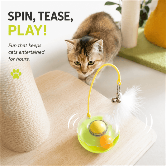 Tabby cat reaching toward the green wobble toy as the feather wand swings above it.